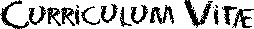 Curriculum Vit&aelig;